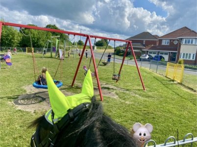 IMG_4625.jpeg