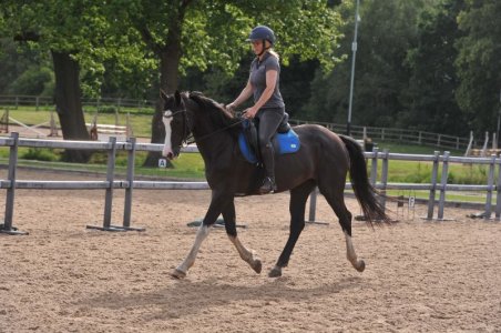 Myka 5.JPG Myka 5.JPG