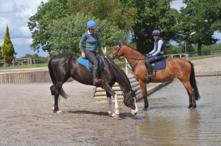 Myka XC small.JPG Myka XC small.JPG