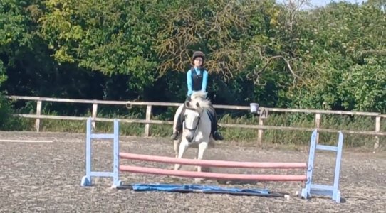 20250616_165430.jpg 20250616_165430.jpg