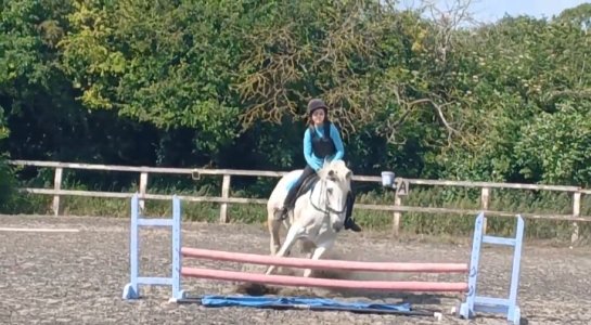 20250616_165508.jpg 20250616_165508.jpg