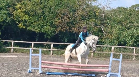 20250616_165537.jpg 20250616_165537.jpg