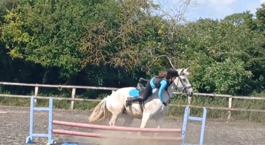 20250616_165554.jpg 20250616_165554.jpg