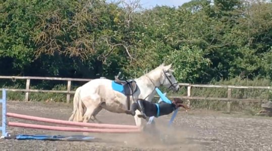 20250616_165630.jpg 20250616_165630.jpg