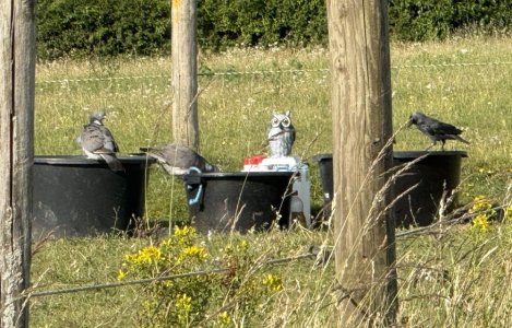 IMG_2368.jpg IMG_2368.jpg