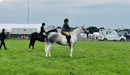 IMG_0951.jpeg IMG_0951.jpeg