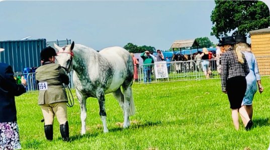 IMG_0949.jpeg IMG_0949.jpeg