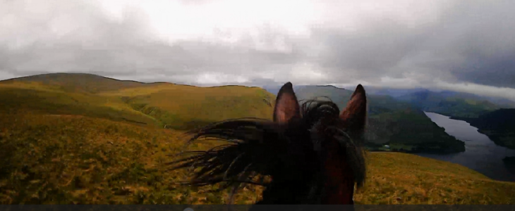 1750076804353blob.png 1750076804353blob.png