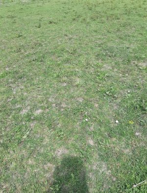 Screenshot_20250620-140027_Gallery-min.jpg Screenshot_20250620-140027_Gallery-min.jpg