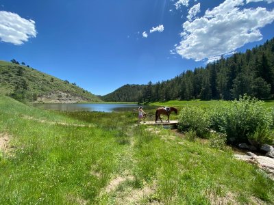 c7253392-7601-4657-98f8-c5d1fe5305df.jpeg c7253392-7601-4657-98f8-c5d1fe5305df.jpeg