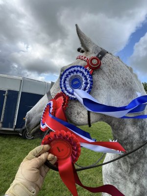 506619809_10163547748969925_5898855309162217053_n.jpg 506619809_10163547748969925_5898855309162217053_n.jpg