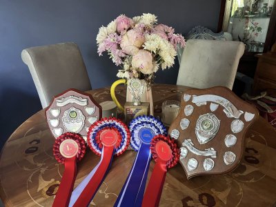 506608727_10163547749254925_208359942097262828_n.jpg 506608727_10163547749254925_208359942097262828_n.jpg