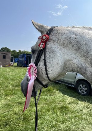 508479186_10163562351169925_8733007309924397178_n.jpg 508479186_10163562351169925_8733007309924397178_n.jpg