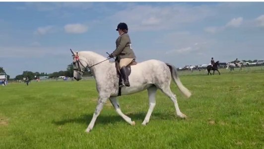 508700705_10163562350369925_135071590403761846_n.jpg 508700705_10163562350369925_135071590403761846_n.jpg