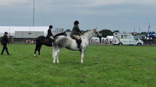 509406625_10163562349844925_1011023386815301388_n.jpg 509406625_10163562349844925_1011023386815301388_n.jpg