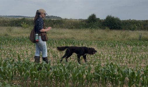 IMG_4833.jpeg IMG_4833.jpeg