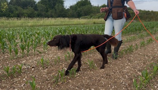 image0.jpeg image0.jpeg