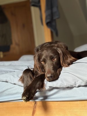 image1.jpeg image1.jpeg