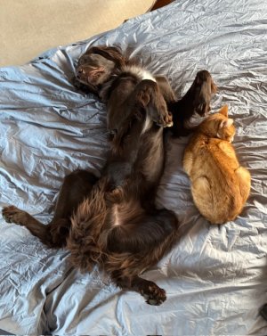 image2.jpeg image2.jpeg