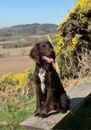 image3.jpeg image3.jpeg