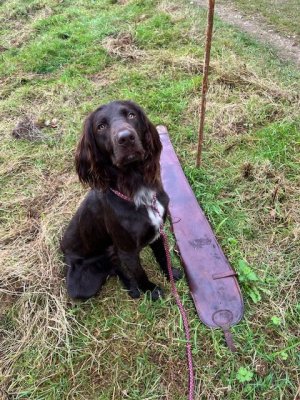 image4.jpeg image4.jpeg