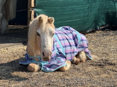 IMG_0139.jpeg IMG_0139.jpeg