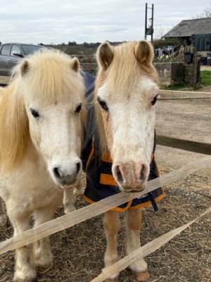 IMG_0033.jpeg IMG_0033.jpeg