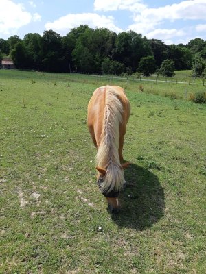 20250617_133520 (1).jpg