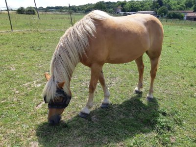 20250617_133512 (1).jpg