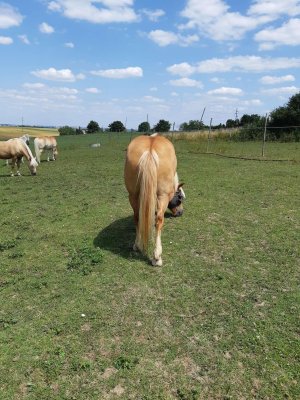 20250617_133531 (1).jpg