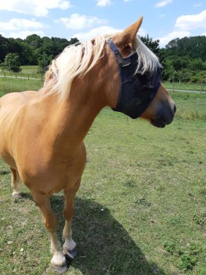 20250617_133352 (1).jpg