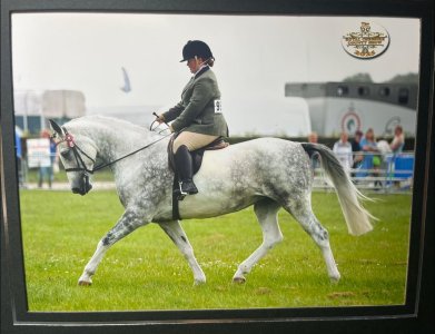 511274130_10163589737709925_6722408972148704333_n.jpg 511274130_10163589737709925_6722408972148704333_n.jpg