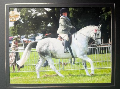 510772224_10163589738304925_380127927641709637_n.jpg 510772224_10163589738304925_380127927641709637_n.jpg