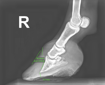 Screenshot 2025-06-25 at 10.10.24.png