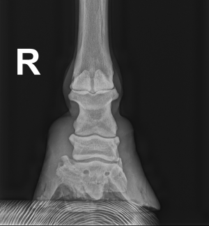 Screenshot 2025-06-25 at 10.10.34.png