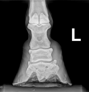 Screenshot 2025-06-25 at 10.10.43.png