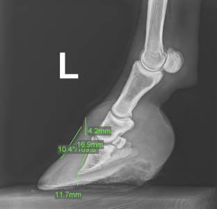 Screenshot 2025-06-25 at 10.10.51.png