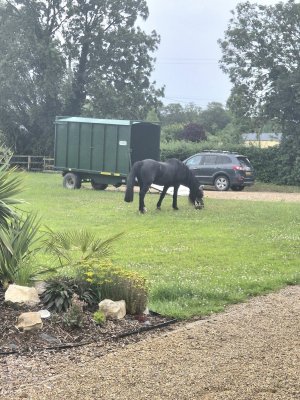 510476744_10230193350241711_6767044370377854956_n (1).jpg