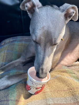 IMG_4010.jpeg IMG_4010.jpeg