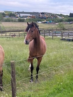 image0.jpeg image0.jpeg