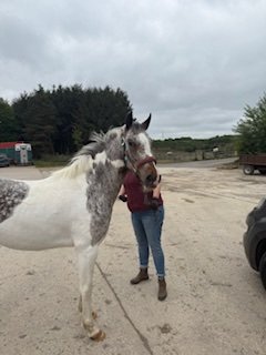 image1.jpeg image1.jpeg