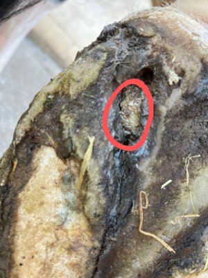 IMG-20250618-WA0002~2.jpg IMG-20250618-WA0002~2.jpg