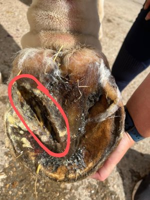 IMG-20250622-WA0003~2.jpg IMG-20250622-WA0003~2.jpg