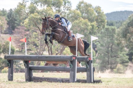 25NCHTAMARFinals-147.jpg