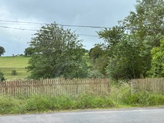 image0.jpeg image0.jpeg