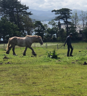 1751806863167.png 1751806863167.png