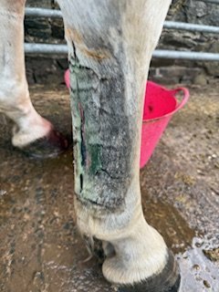 image0.jpeg image0.jpeg