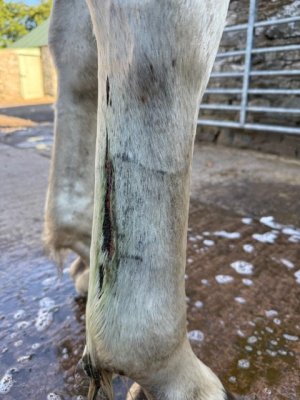 IMG_8044.jpeg IMG_8044.jpeg