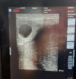 IMG_6127.jpeg IMG_6127.jpeg