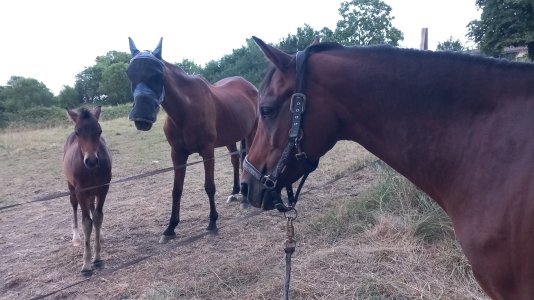 20250705_214546.jpg 20250705_214546.jpg